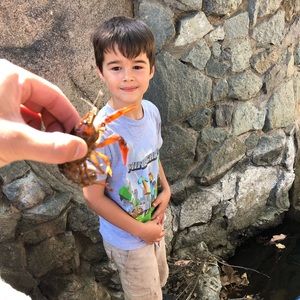 Meet your Posher, Matt